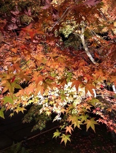 16_IMG_1866.jpg