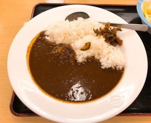 松屋カレー02_IMG_0440.jpg