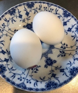 egg05_IMG_3776.jpg