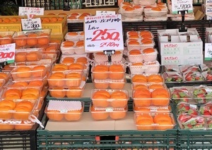 syounaikaki03_IMG_7712.jpg